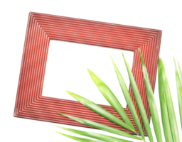 tropical nature green palm leaf in picture frame on transparent background png file