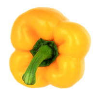 yellow bell pepper on transparent background png file