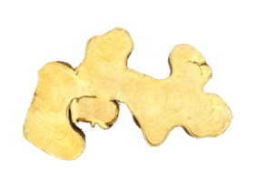Crosscut of a tree log with striped texture on transparent background png file