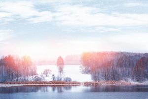 Frozen winter forest with snow covered trees. photo