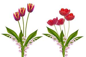 flores de primavera lirio de los valles, tulipanes foto