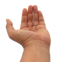 hand on transparent background png file