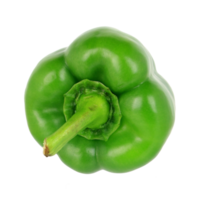 peperone verde su file png di sfondo trasparente