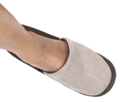feet put on house slippers transparent background png file