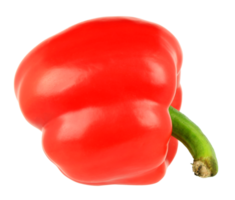 peperone rosso su file png di sfondo trasparente