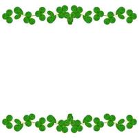 green clover leaves isolated on white background. St.Patrick 's Day photo