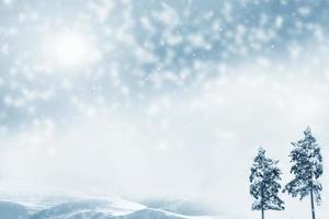 Frozen winter forest with snow covered trees. photo