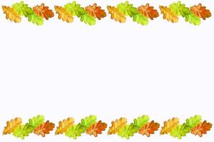 autumn leaves isolated on white background. photo