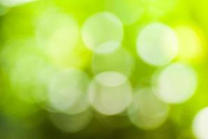 Green leaf with white bokeh abstract for bacground use photo