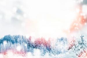 Frozen winter forest with snow covered trees. photo