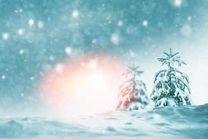 Frozen winter forest with snow covered trees. photo