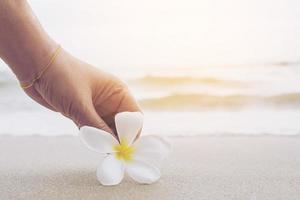 Closeup of lady is keeping plumeria flower on sand beach photo