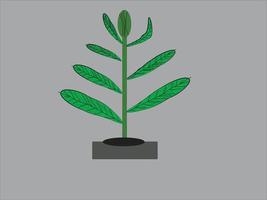 Tree saplings planted vector