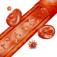 Blood vessels red blood cells and pathogens in the bloodstream 3D illustration png