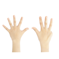 Nummerierung der Finger von eins bis zehn png