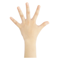 Numbering fingers from one to ten png