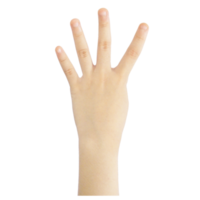 Numbering fingers from one to ten png