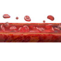vasos sanguíneos glóbulos rojos y patógenos en el torrente sanguíneo ilustración 3d
