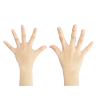 Numbering fingers from one to ten png