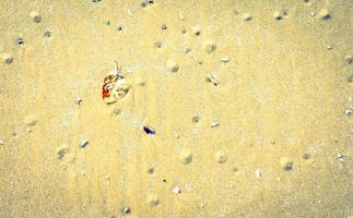 sand beach background photo