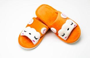 isolated pair of slippers photo