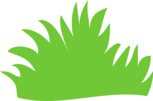 green grass, grass bush png