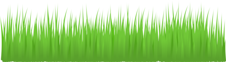 green grass, meadow