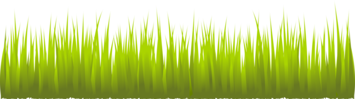 long grass, grass