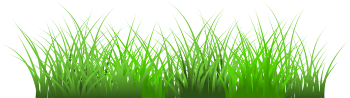 meadow, grass border png