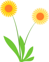 herbe, herbe mignonne, herbe avec fleur png