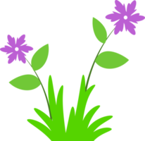 grass, grass flower. summer grass png