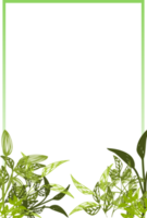 gebladerte frame png