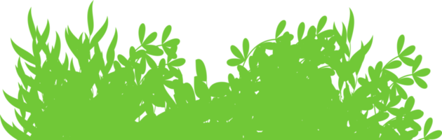 green bush, wild bush png