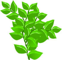 branch, tree branch, plant png