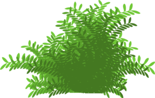 bush, green bush png