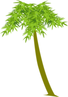 palmera, planta tropical png