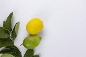 una fruta de limón amarilla y verde con hojas aisladas sobre fondo blanco
