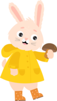 bunny in an autumn raincoat with mushroom png