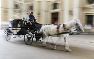 entrenador en el palacio de hofburg foto