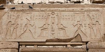 Egyptian Hieroglyphs in Luxor Temple, Luxor, Egypt photo