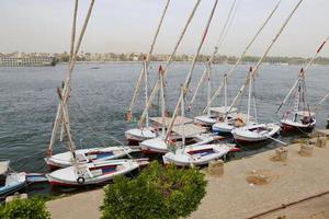 Felluca Boats in Nile River photo