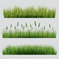 Grass with Transparent Background vector