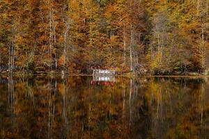 Buyuk Lake in Yedigoller National Park, Bolu, Turkey photo