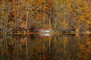 lago buyuk en el parque nacional yedigoller, bolu, turquía foto