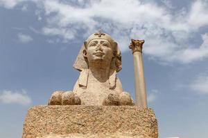 Pompey Pillar in Alexandria, Egypt photo