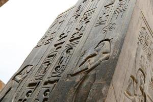 Egyptian Hieroglyphs in Luxor Temple, Luxor, Egypt photo