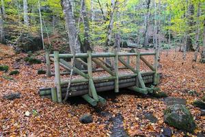 Wooden Bridge in Yedigoller National Park, Bolu, Turkey photo