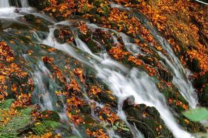 Waterfall in Yedigoller National Park, Bolu, Turkey photo