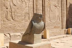 estatua de horus en el templo de edfu, edfu, egipto foto