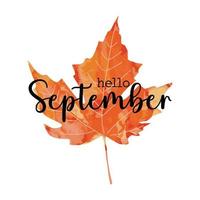 Beautiful calligraphy lettering text - Hello September. Bright orange red watercolor artistic maple leaf vector illustration isolated on white background. Autumn fall welcoming greeting poster design.